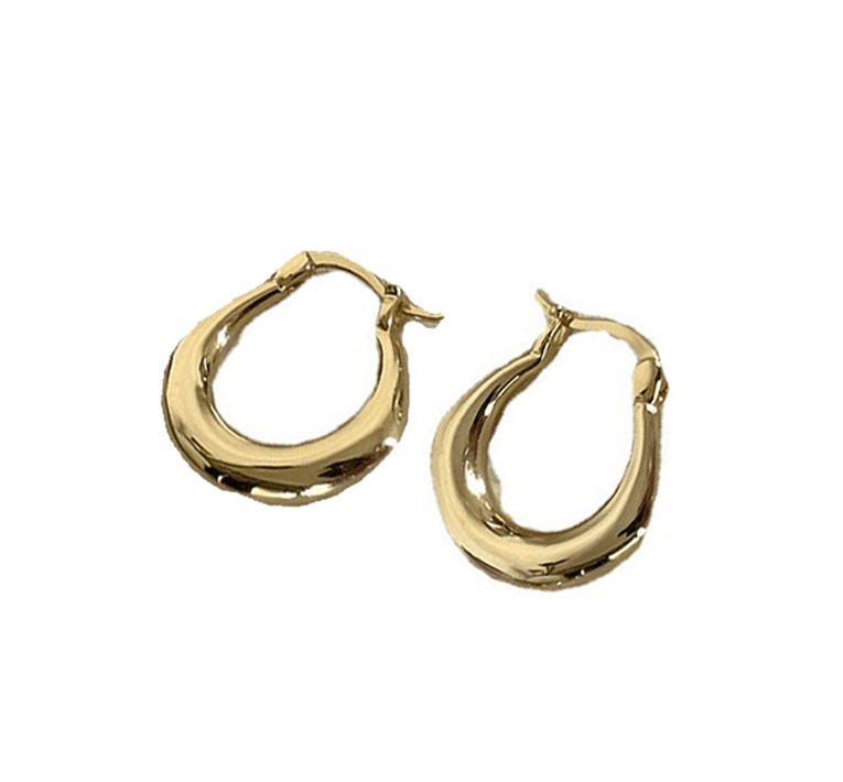 925 Sterling Hoop Earrings - Purmina