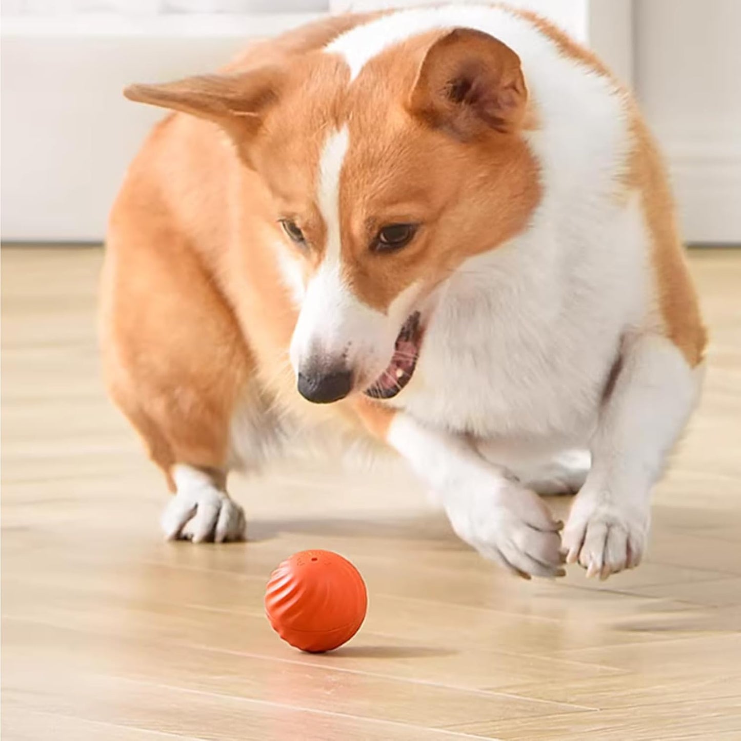 Balle Purmina interactive pour chien