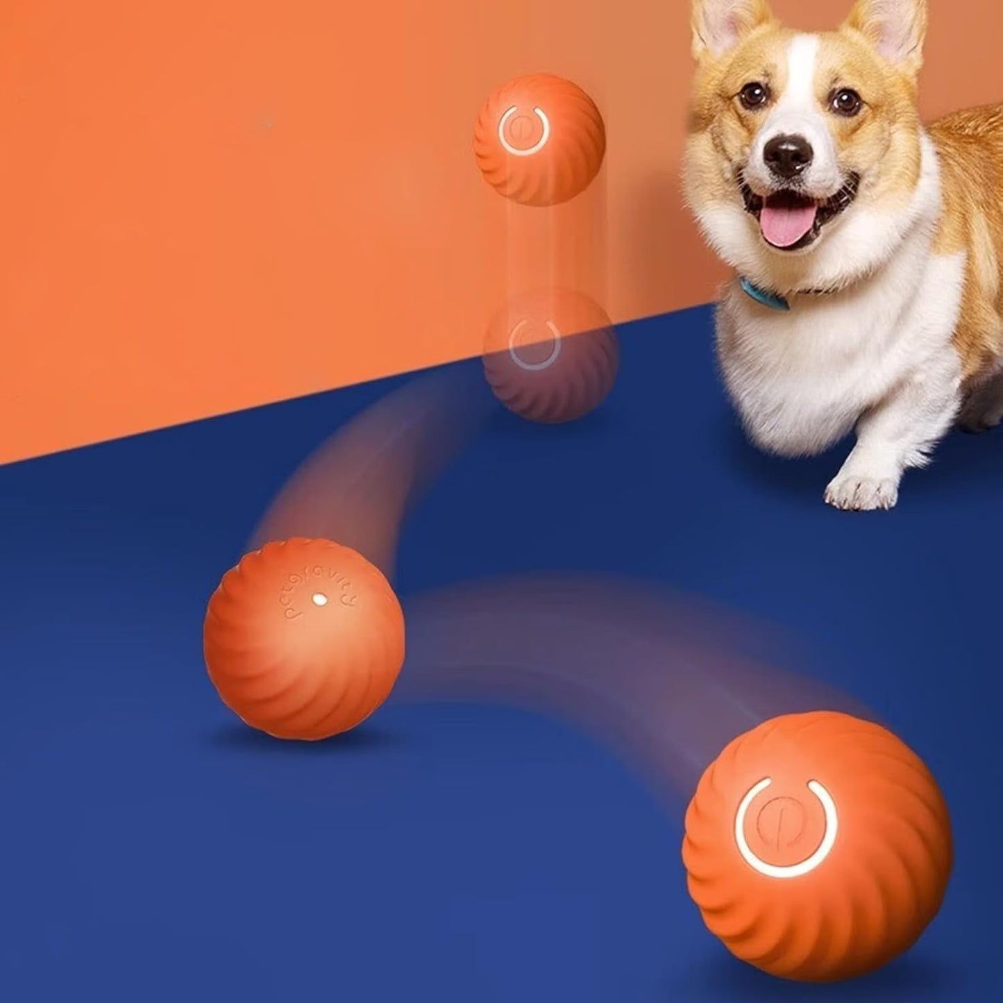 Balle Purmina interactive pour chien