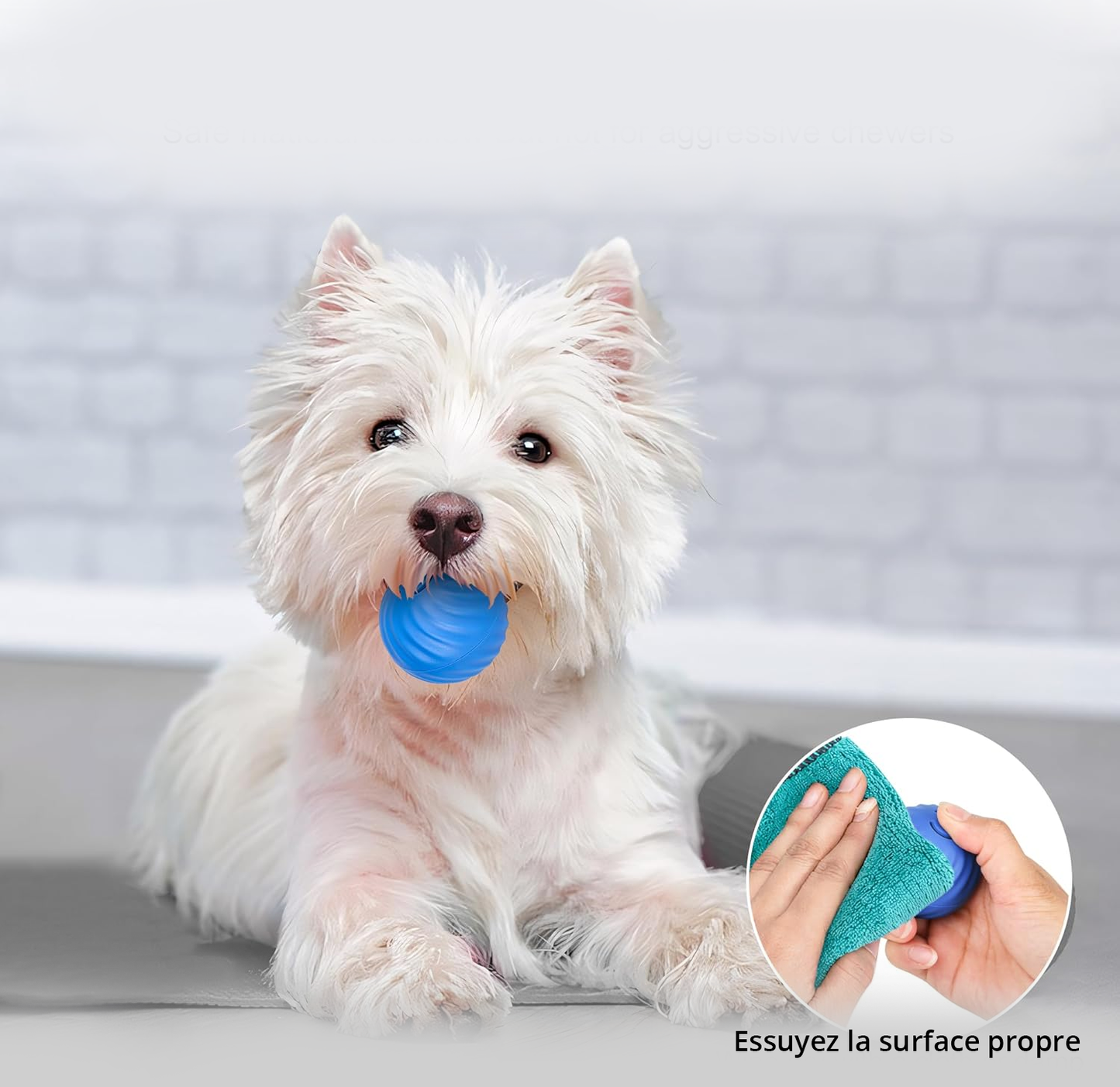 Balle Purmina interactive pour chien