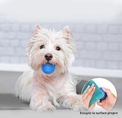 Balle Purmina interactive pour chien