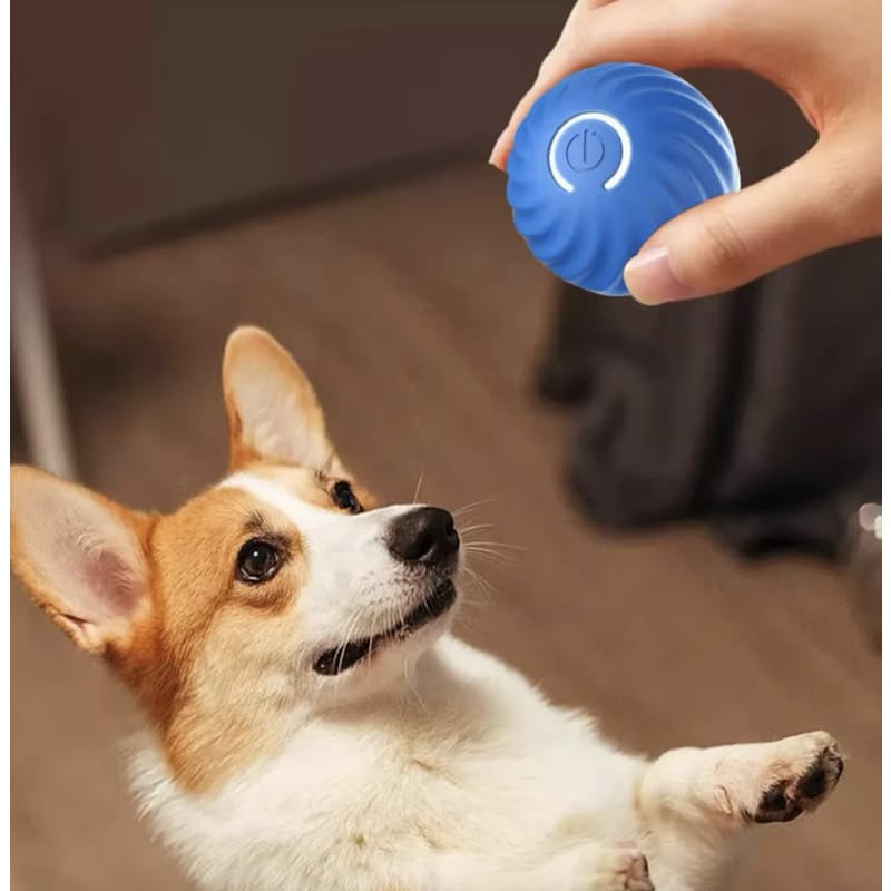 Purmina Smart Bouncing Ball – Interactive Dog Toy for Endless Fun (Copy) - Purmina