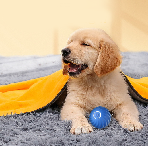 Purmina Smart Bouncing Ball – Interactive Dog Toy for Endless Fun (Copy) - Purmina